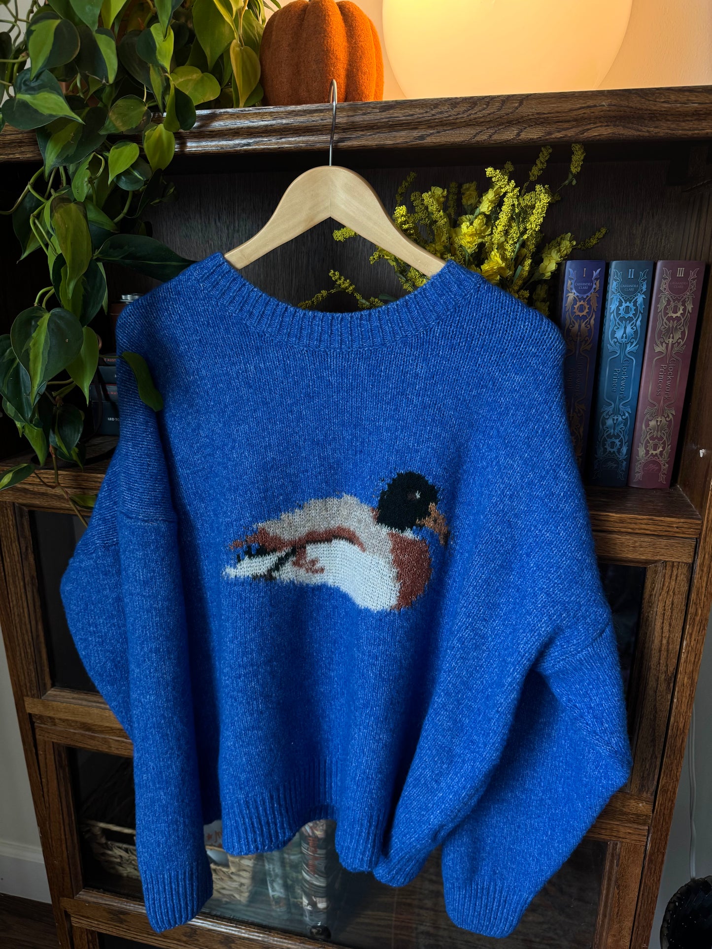 mallard duck graphic sweater