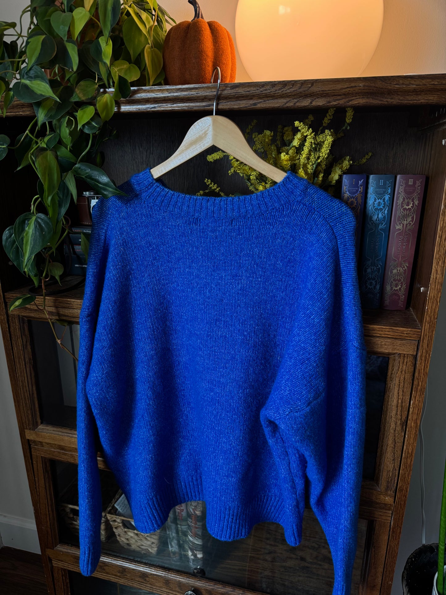 mallard duck graphic sweater